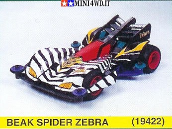 beak spider zebra1.jpg