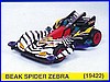 beak spider zebra1.jpg