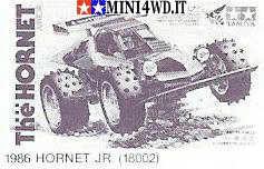 hornet jr.jpg