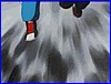 LetsandGo!_MAX_5.gif
