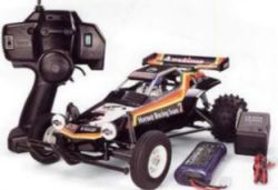The Hornet R/C