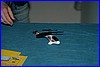 immagine083ridimensionank4.jpg