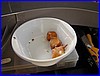 PICT2680.JPG