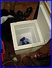 PICT3502.JPG