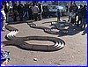 M_rossi_pista.jpg