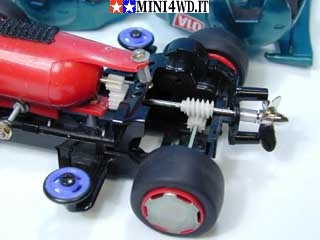 acquamini3.jpg